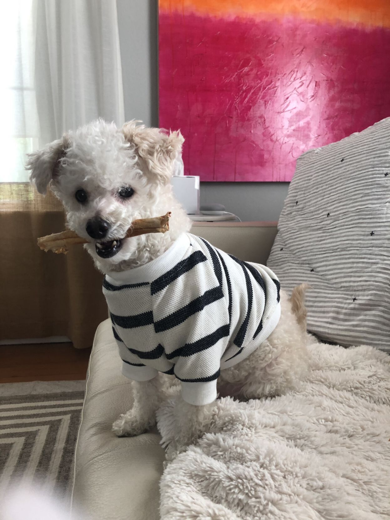 Barclay